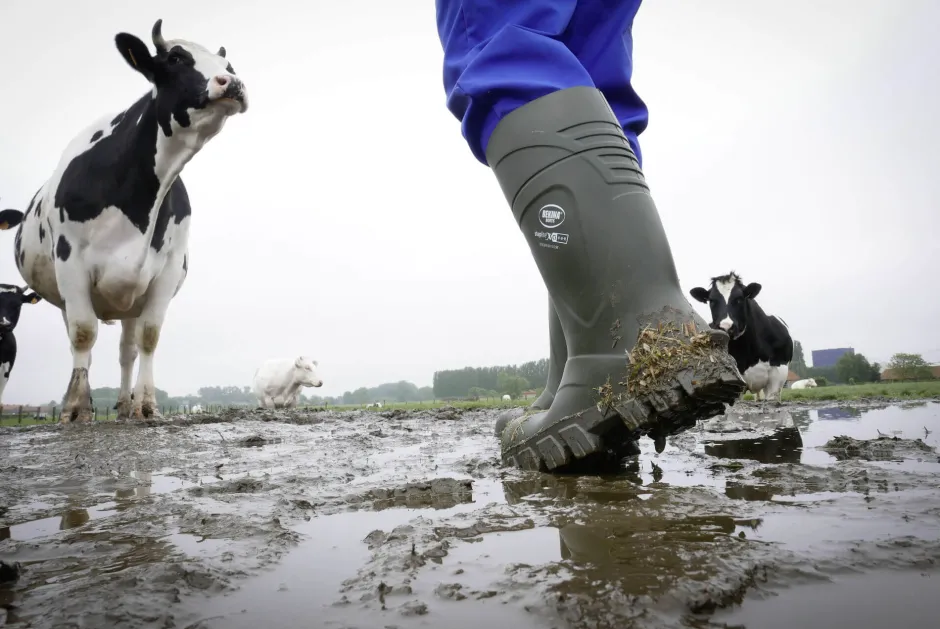 Bekina Sicherheitsstiefel S5 Steplite® Thermoprotec