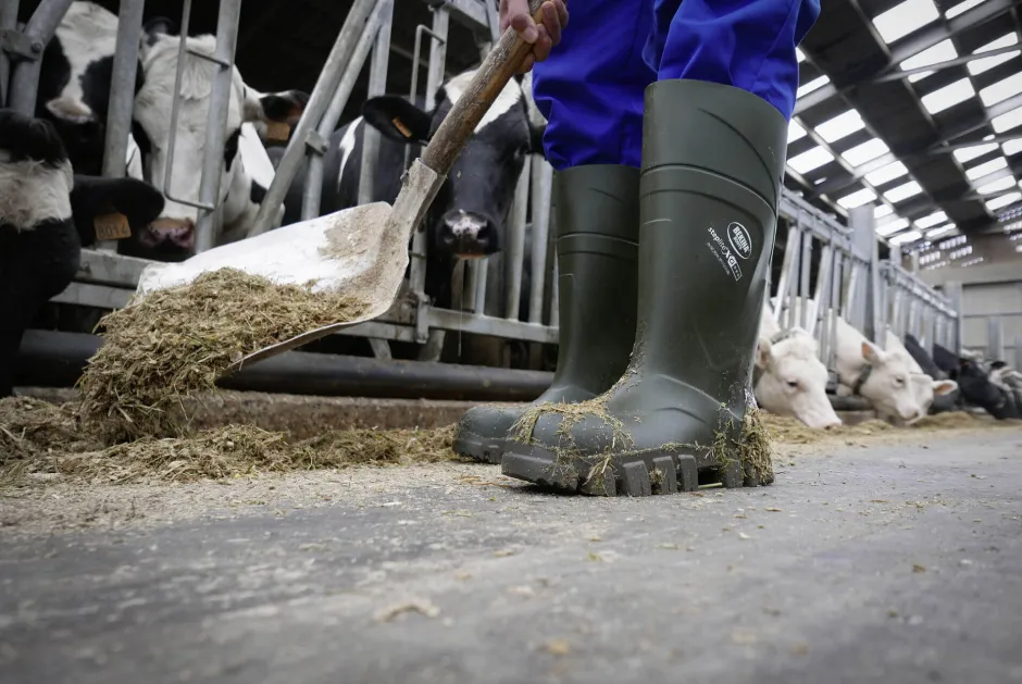 Bekina Sicherheitsstiefel S5 Steplite® Thermoprotec