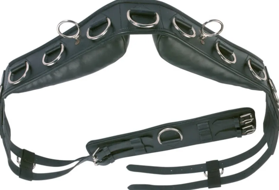 BUSSE Longiergurt PROFESSIONAL-LEDER
