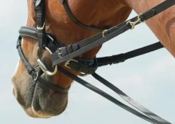 BUSSE Thiedemann-Kombination BASIC