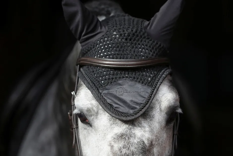 COVALLIERO Fliegenhaube Empara