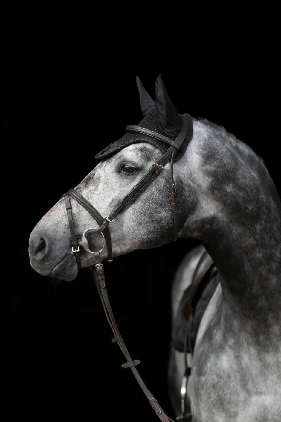 COVALLIERO Fliegenhaube Empara
