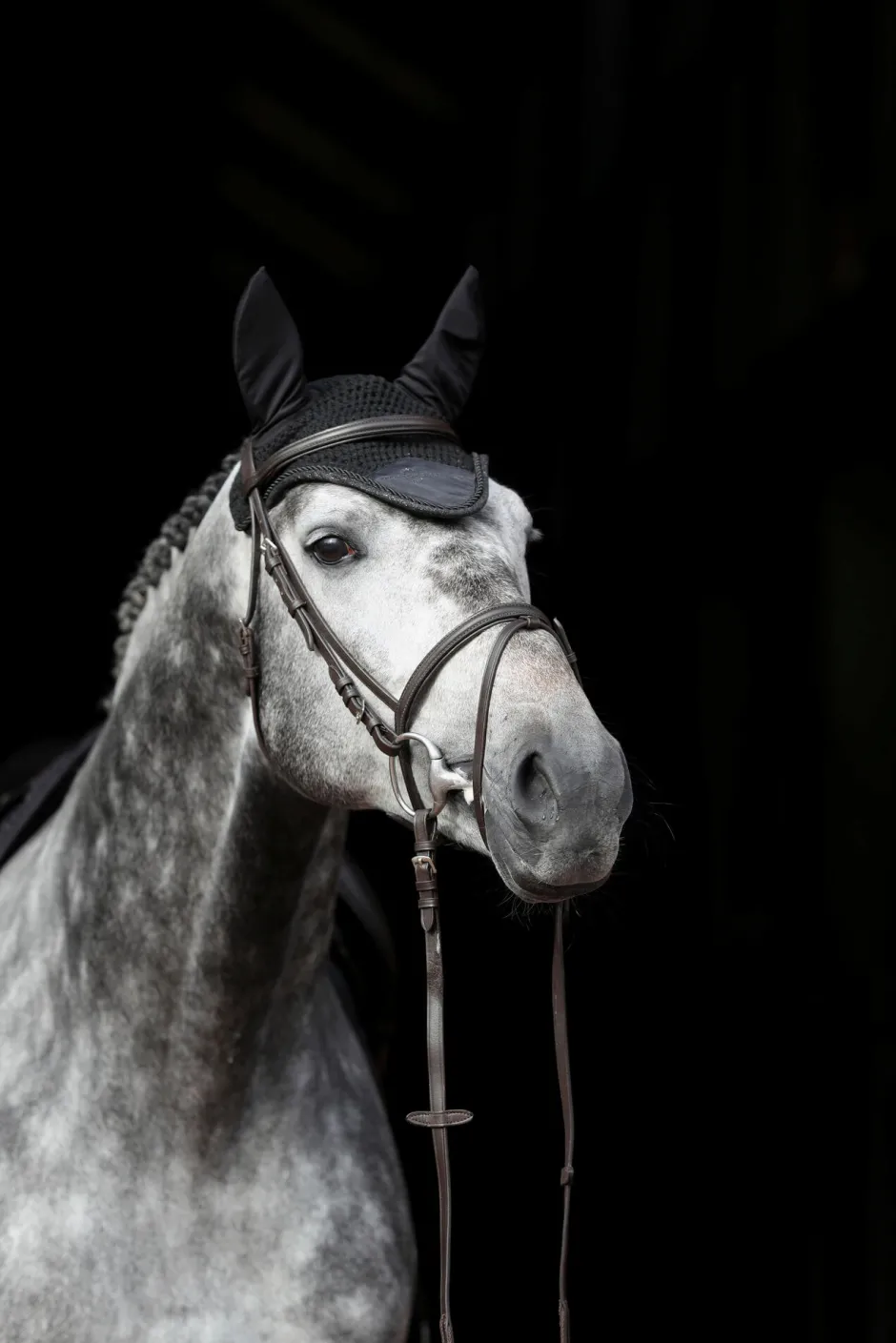 COVALLIERO Fliegenhaube Empara