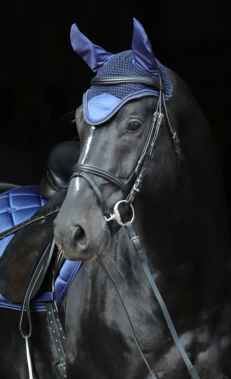 COVALLIERO Fliegenhaube Empara