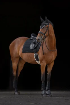 COVALLIERO Hufglocken Avina