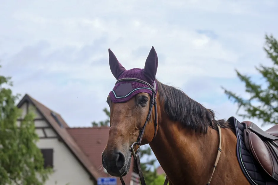 EQUITHEME Domino Fliegenohrehauben