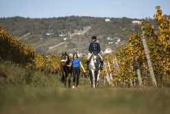 EQUITHEME Elodie Polo mit kurzen Ärmeln
