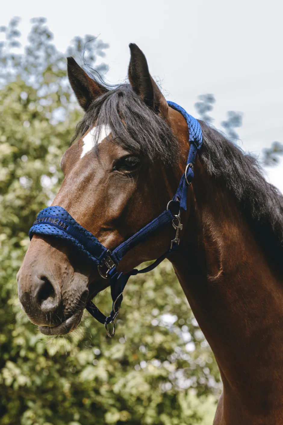 EQUITHÈME - 3D Mesh - Nylonhalfter