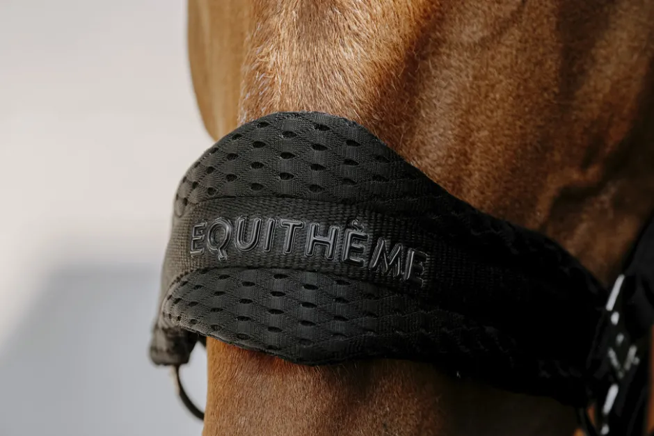 EQUITHÈME - 3D Mesh - Nylonhalfter