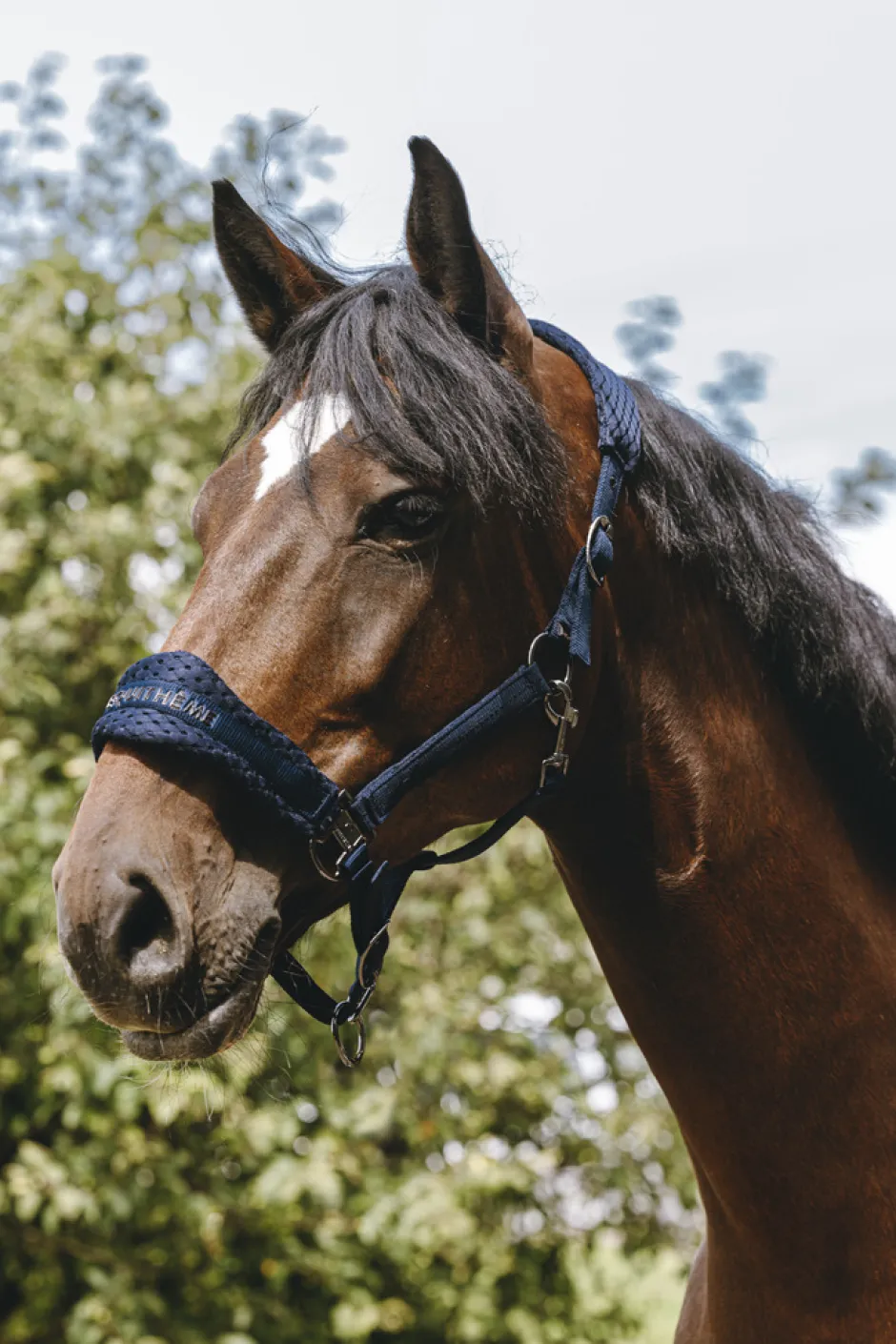 EQUITHÈME - 3D Mesh - Nylonhalfter