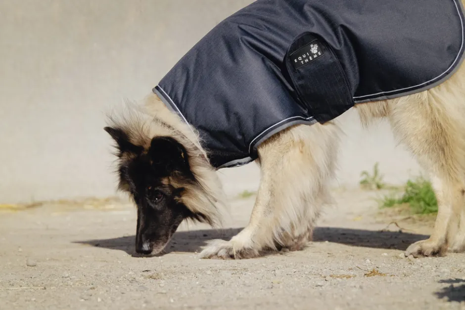 EQUITHÈME - TYREX 600D - Hundedecke