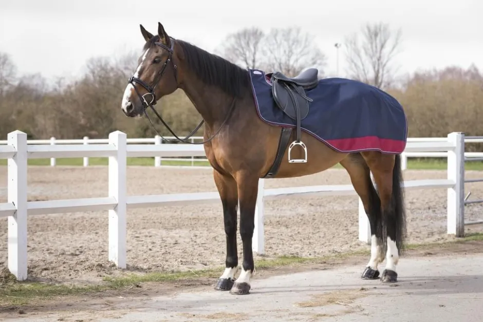 EQUITHÈME „TYREX 1200 D“, Nierendecke mit Polar Fleece Fütterung