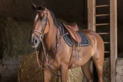 ERIC THOMAS HYBRID geschweifter Sattelgurt