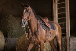 ERIC THOMAS HYBRID geschweifter Sattelgurt