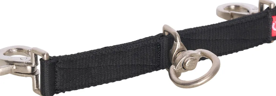 IMPERIAL RIDING Longierbrille IRH