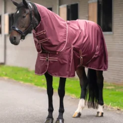 IMPERIAL RIDING Outdoordecke IRHBasic mit abnehmbarem Halsteil Sommer