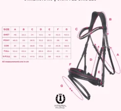 IMPERIAL RIDING Zaumzeug IRH mit ergonomischem hannoverschen Nasenriemen/Sperrriemen