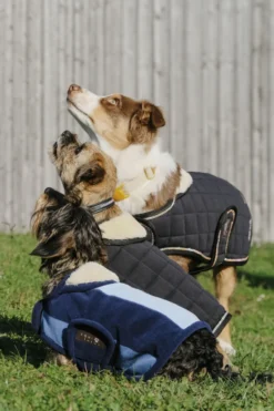 Je taime EQUITHÈME Hundedecke