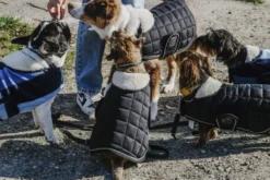 Je taime EQUITHÈME Hundedecke