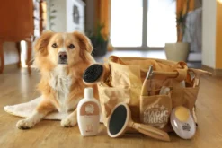MagicBrush Dog
