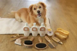 MagicBrush Hundeshampoo Anti-Odor