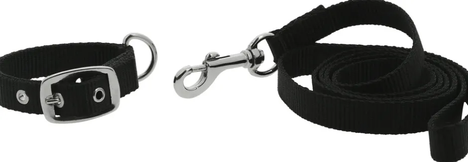 RIDING WORLD - Oscar - Hundehalsband und Leine