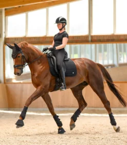 WALDHAUSEN ELT Reithose Comfort Ride Silikon